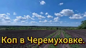 Коп в  Черемуховке