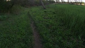 Моноколесо Природа