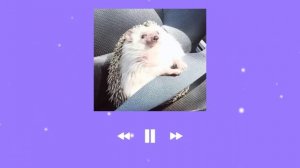 ♡ Песни для уборки ♡ для танцев ♡ для кайфа ♡ Speed up ♡