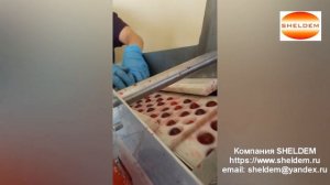 Машина для удаления косточек из вишни - SHELDEM