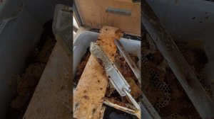 Пчеловодство: сравнение ножей для распечатки сот