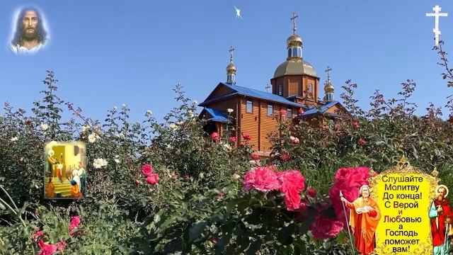 МНОГИЕ НЕ ВЕРЯТ,  А ПОТОМ УДИВЛЯЮТСЯ! СИЛЬНАЯ ПОМОЩЬ ОТ смотреть онлайн