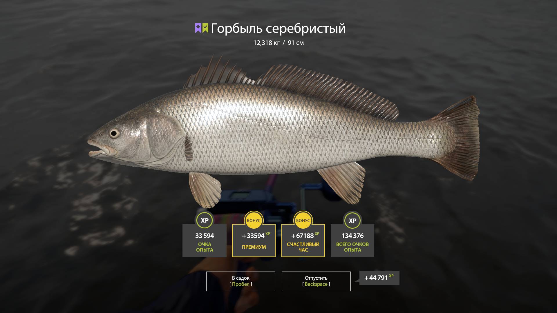 Русская рыбалка 4. Норвежское море. Горбыль серебристый смотреть онлайн