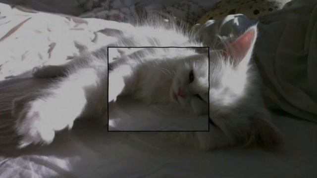 ВАЙБОВЫЕ SONGS | ТРЕКИ С ТИК ТОК смотреть онлайн