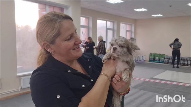 Юный чемпион России Алсу Шамановна Кастропуло окрас м