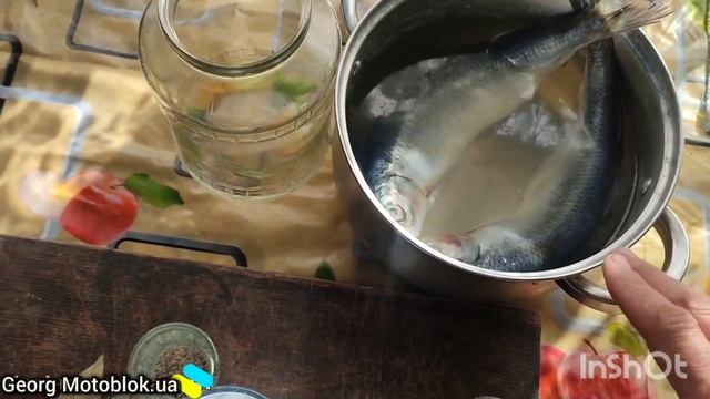 Як солити оселедець по українськи в домашніх умовах ш? смотреть онлайн