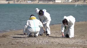 Роспотребнадзор ведет мониторинг качества воды и воздуха в районе Керченского пролива