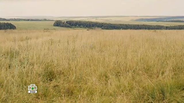Степные волки 2 серия
