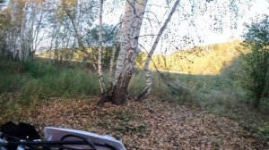 Боль и разочарование ZONGSHEN 212cc4v Соревнования в Суксуне