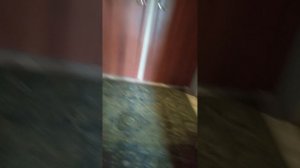 прятки