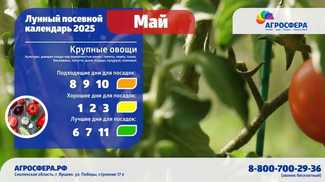 Посевной календарь на май 2025, календарь огородника / а?