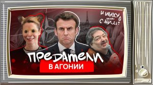 Выступающая часть Макрона, Каллас – хомяк, Быков* закозлил