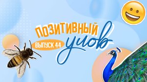 Как летать в самолете стоя и почему зумеры ненавидят интернет. "Позитивный улов"