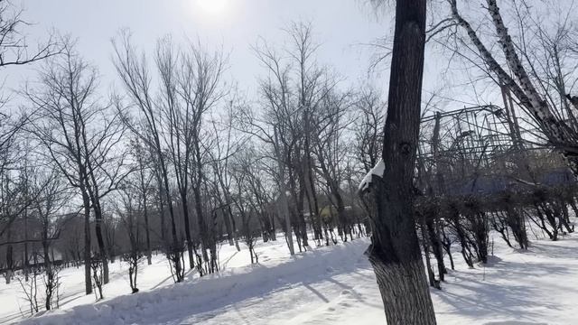 Пап, не трогай эту кружку! Новая мама туда что-то налил? смотреть онлайн