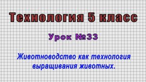 Технология 5 класс (Урок№33 - Животноводство как технология выращивания животных.)