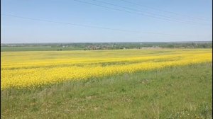 Доброе утро хорошего дня