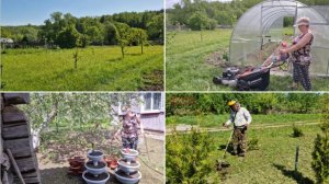 СЕГОДНЯ У НАС ОБЫЧНЫЕ ДЕРЕВЕНСКИЕ ДЕЛА. ЛЁШИК КОСИТ, А ВЫТАЩИЛА СВОИ ВАЗОНЫ.