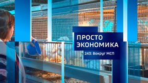 ПРОСТО ЭКОНОМИКА 243: Вокруг МСП
