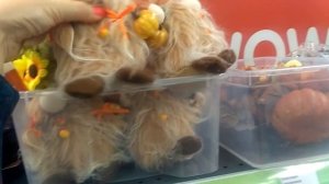 Fix-price Беларусь  Новогрудок от /  Коллекция "Янтарь" в Fix p