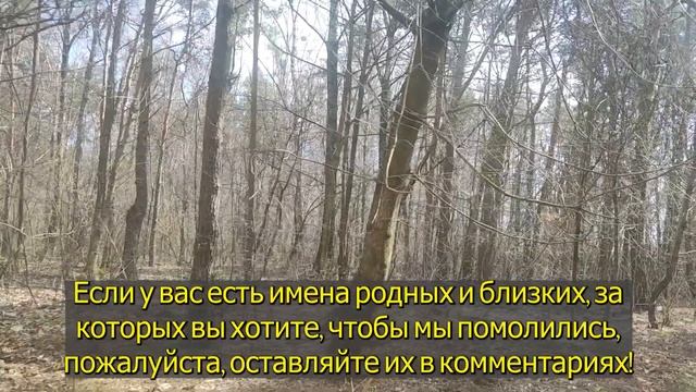 ЛЮБОЙ ЦЕНОЙ ПОВТОРИ 1 РАЗ И ПОМОЩЬ ПРИДЕТ ОБЯЗАТЕЛЬНО ? смотреть онлайн