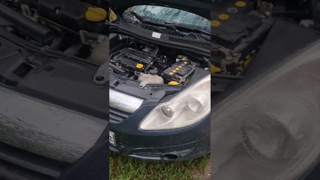 Z12XEP Opel Corsa D Двигатель воет после снятия крышки ГРМ (лоб смотреть онлайн