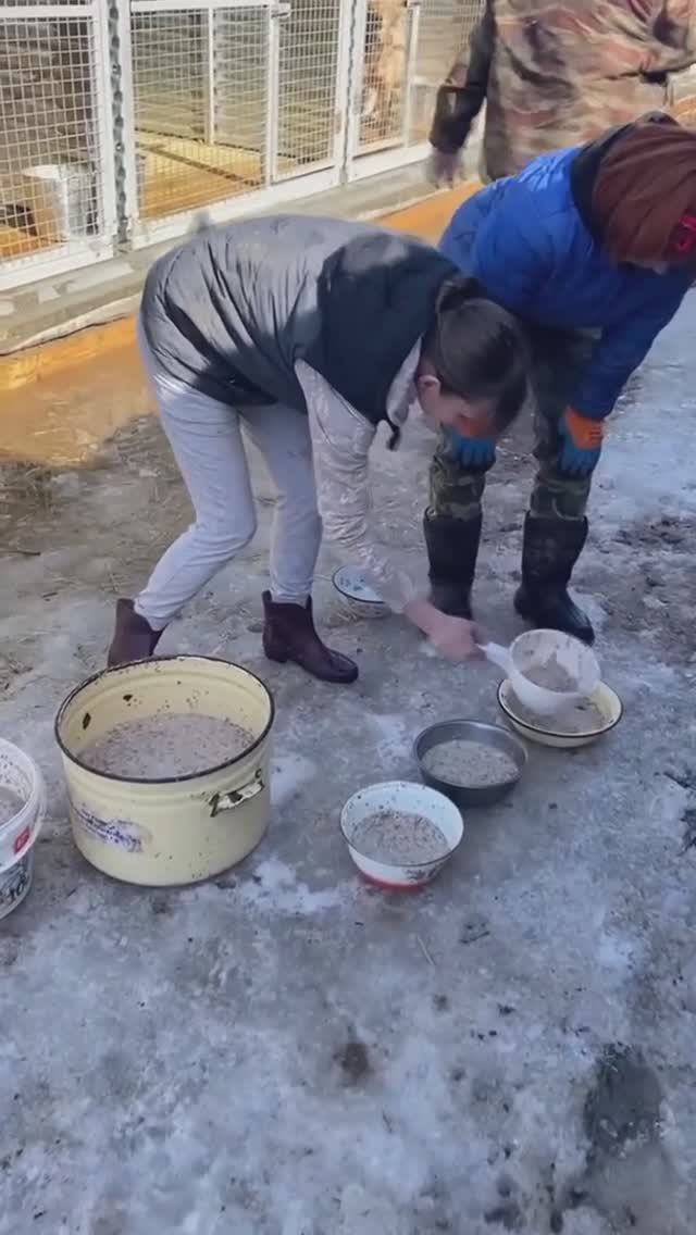 Успевайте зарядиться положительными эмоциями!