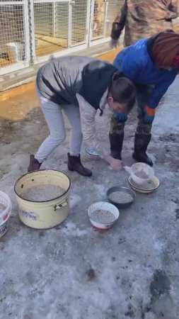 Успевайте зарядиться положительными эмоциями!