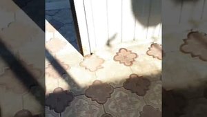 Сергей Зубцов Гений в выращивание клубники 👍