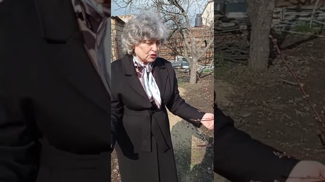 Войт Людмила. Мы - единое Древо Жизни. Приглашаем на ко? смотреть онлайн