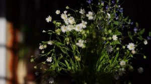 реклама для гостиницы