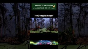 факт (11)