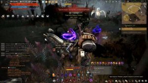 BDO ПВЕ БИЛД Часть 2 Сорка фарм одной кнопкой  РуиныТшир?