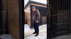 Послушная собака за 1 час.