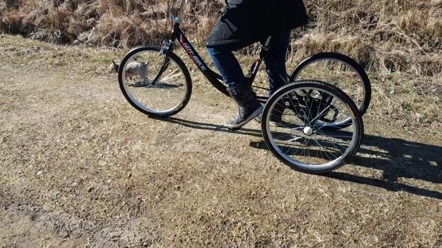 Дача вело три колеса смотреть онлайн