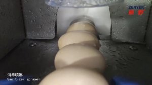 Машина для мойки яиц с дополнительным конвейером загрузчиком 604AS