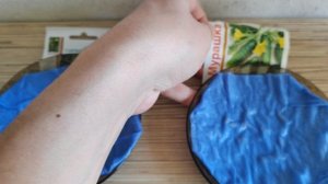 Замочил семена космеи однолетней. Так же замочил семена огурцов для посадки в открытый грунт