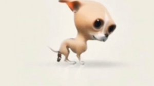 чихуахуа какает под грустную музыку из голливуда