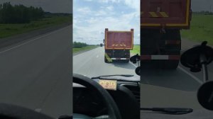 Ругаются водители)