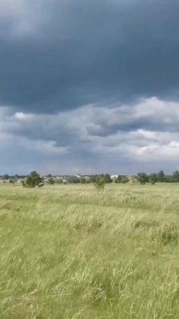 Участок 16,56 соток в с. Рыбниковское Каменского района