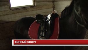 КОННЫЙ СПОРТ