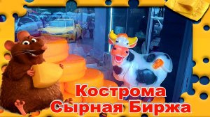 Костромская Сырная Биржа Цены Сегодня