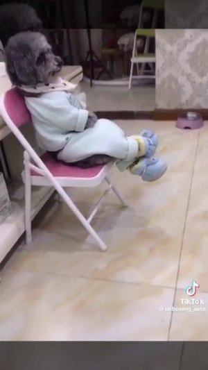 О ТОМ, О СЁМ...

1000017600.mp4