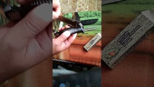 Обзор финки от Reptilian.