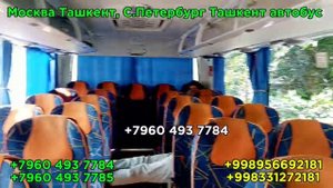 moskva tashkent avtobus | москва ташкент автобус 2024
