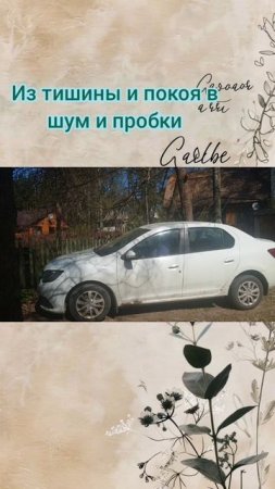 Между шумом и тишиной