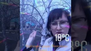 Березовая роща. Амурская область. посёлок Березовка.