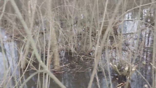 Коп в полях, где в прошлом веке находилась деревня с дю смотреть онлайн