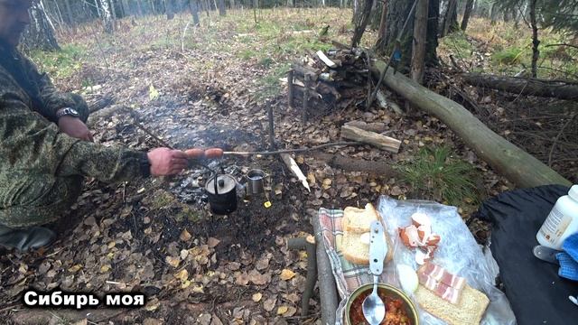 НАШЁЛ НОЖ в СИБИРСКОМ ЛЕСУ/FOUND a KNIFE in the SIBERIAN FOREST.