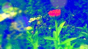 Аз, Боги, Веди