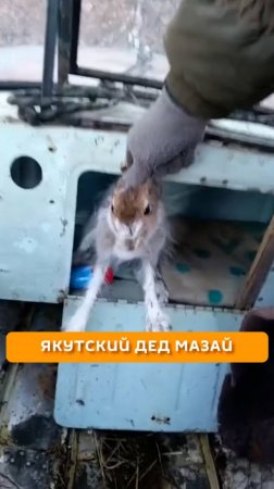 Якутский Дед Мазай